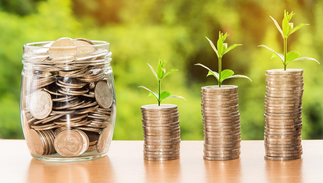 Wie funktioniert eigentlich Green Investment?